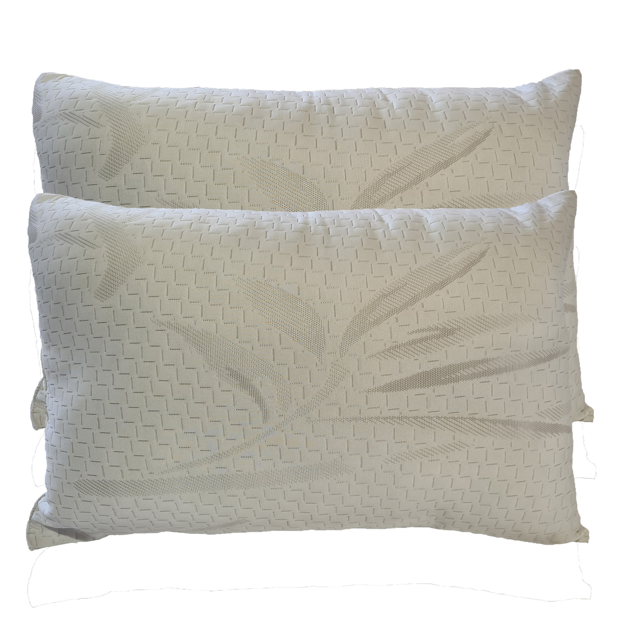 Bamboo Twin Pack Pillows